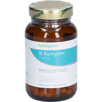 Produktbild von Vitalplant Vitamin B Komplex Forte Kapseln vegan
