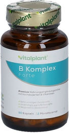 Vitalplant Vitamin B Komplex Forte Kapseln vegan 60 Stück – Bild 1 von 2