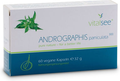 Vitalsee Andrographis paniculata 300 Extrakt – 90 vegane Kapseln – glutenfrei und laktosefrei – Bild 1 von 2