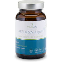 Produktbild von Vitalsee Artemisia vulgaris 300 mg Beifuß Kapseln 90 Stück vegan glutenfrei laktosefrei ohne Zusatzstoffe