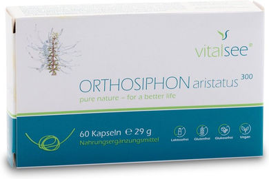 Vitalsee Orthosiphon aristatus 300 Extrakt – 60 vegane Kapseln – glutenfrei und laktosefrei – Bild 1 von 2