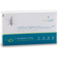 Produktbild von Vitalsee Orthosiphon aristatus 300 Extrakt – 60 vegane Kapseln – glutenfrei und laktosefrei