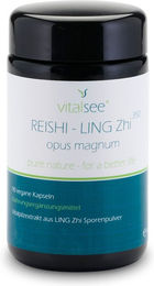 Vitalsee Reishi Ling Zhi 350 Kapseln mit wallbroken Sporenpulver 350 mg vegan glutenfrei und laktosefrei 90 Stück – Bild 1 von 2