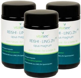 Vitalsee Reishi Ling Zhi Kapseln vegan glutenfrei laktosefrei 270 Stück – Bild 1 von 2