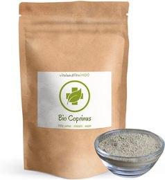 vitalundfitmit100 Bio Coprinus Pulver – Bild 1 von 1