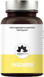 VitaminFuchs Ingwer Kapseln mit Ingwerpulver 120 Stück – Bild 1 von 2