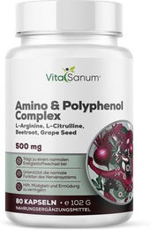 VitaSanum Amino & Polyphenol Complex Kapseln – Bild 1 von 1