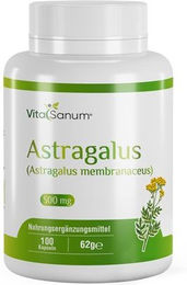 VitaSanum Astragalus Kapseln 100 Stück – Bild 1 von 1