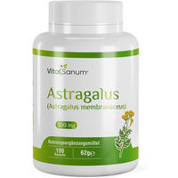 Produktbild von VitaSanum Astragalus Kapseln 100 Stück