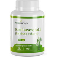 Produktbild von VitaSanum Bambusextrakt Bambusa vulgaris Kapseln