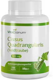 VitaSanum Cissus Quadrangularis Veldtraube Kapseln – Bild 1 von 1