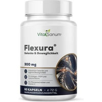 Produktbild von VitaSanum Flexura Kapseln 673,5 mg 60 Stück