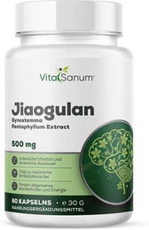 VitaSanum Jiaogulan Gynostemma pentaphyllum Kapseln 60 Stück – Bild 1 von 1
