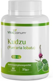 VitaSanum Kudzu Pueraria lobata Kapseln 60 Stück – Bild 1 von 1