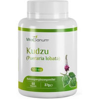 Produktbild von VitaSanum Kudzu Pueraria lobata Kapseln 60 Stück