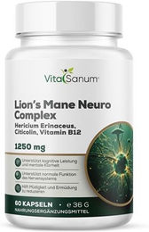 VitaSanum Lion’s Mane Neuro Complex mit B12 vegan Kapseln 60 Stück – Bild 1 von 1