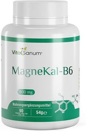 VitaSanum MagneKal-B6 Kapseln – Bild 1 von 1