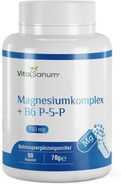 VitaSanum Magnesiumkomplex Kapseln für Sportler – Bild 1 von 1