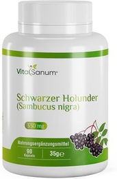 VitaSanum Schwarzer Holunder Sambucus nigra Kapseln – Bild 1 von 1