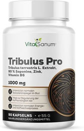VitaSanum Tribulus 1000 mg Kapseln – Bild 1 von 1