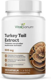 VitaSanum Turkey Tail Extrakt Kapseln – Bild 1 von 1