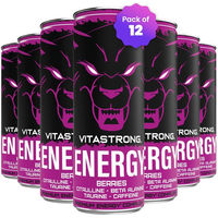 Produktbild von Vitastrong Energy Berries zuckerfrei 12x 330 ml Flüssig