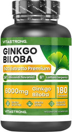 Vitastrong Ginkgo Biloba Tabletten glutenfrei und laktosefrei 180 Stück – Bild 1 von 1
