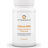 Produktbild von Vitaworld Cistus 500 Kapseln mit Zistrose und Zink vegan 60 Stück