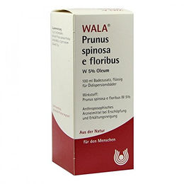 WALA Prunus Spinosa e floribus 5% Oleum 100 ml Flüssig – Bild 1 von 1