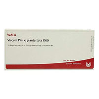 Produktbild von WALA Viscum Pini e planta tota D 60 Ampullen 10x1 ml
