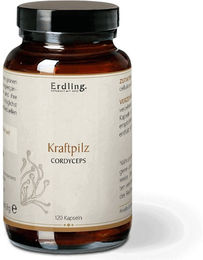 Waldkraft Cordyceps Erdling Kraftpilz Kapseln vegan ohne Zusatzstoffe 120 Stück – Bild 1 von 1