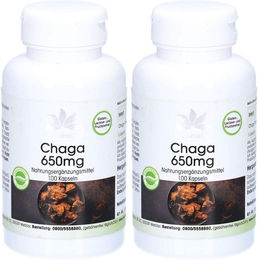 Warnke Chaga Kapseln vegan 650 mg – Bild 1 von 1