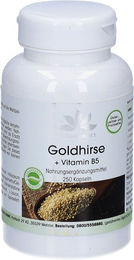 Warnke Goldhirse mit Vitamin B5 Kapseln glutenfrei und laktosefrei 250 Stück – Bild 1 von 1