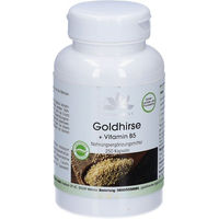 Produktbild von Warnke Goldhirse mit Vitamin B5 Kapseln glutenfrei und laktosefrei 250 Stück