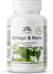 Warnke Vitalstoffe Ginkgo Kapseln vegan ohne Zusatzstoffe 120 Stück – Bild 1 von 1