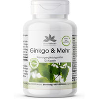 Produktbild von Warnke Vitalstoffe Ginkgo Kapseln vegan ohne Zusatzstoffe 120 Stück