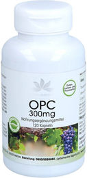 Warnke Vitalstoffe OPC 300 mg Kapseln 120 Stück vegan vegetarisch laktosefrei glutenfrei ohne Gelatine – Bild 1 von 1