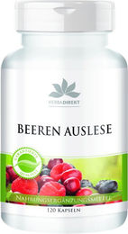 Warnke Vitalstoffe Spirulina Kräuter-Komplex Kapseln vegan ohne Zusatzstoffe 120 Stück – Bild 1 von 1