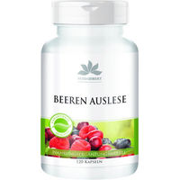 Produktbild von Warnke Vitalstoffe Spirulina Kräuter-Komplex Kapseln vegan ohne Zusatzstoffe 120 Stück