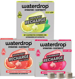 waterdrop Microlyte Recharge Trio Sportgetränk mit Elektrolyten Brausetabletten Erdbeere Grapefruit Zitrone Minze zuckerfrei vegan glutenfrei – Bild 1 von 1