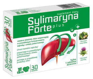 WegaFarm Silymarin Forte Plus Tabletten ohne Zusatzstoffe 30 Stück – Bild 1 von 1