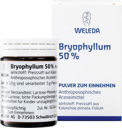 Weleda Bryophyllum 50% Pulver – Bild 1 von 1