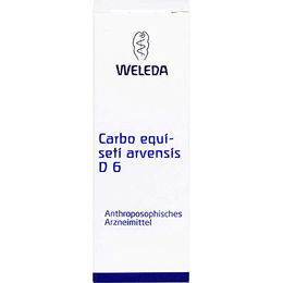 Weleda Carbo Equiseti Arvensis D6 Trituration – Bild 1 von 1
