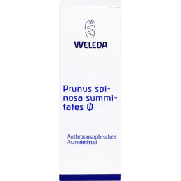 Weleda Prunus Spinosa Summitates Urtinktur Tropfen 50 ml – Bild 1 von 2