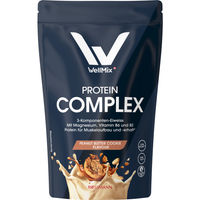 Produktbild von WellMix Protein Complex Pulver Cookies & Cream glutenfrei fettfrei
