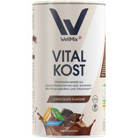 Produktbild von WellMix Vital Kost Schokolade Pulver 500 g