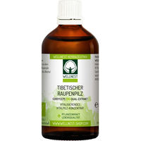Produktbild von Wellnest Bio Cordyceps Dual-Extrakt Tropfen ohne Zusatzstoffe