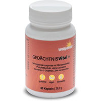 Produktbild von Wellpursan Gedächtnis vital + Vegan Kapseln