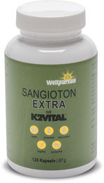 Wellpursan Sangioton Extra L-Arginin Kapseln vegan laktosefrei und zuckerfrei 120 Stück – Bild 1 von 3