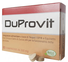 Wellvit Kräuter-Komplex Tabletten mit pflanzlichem Ursprung 30 Stück – Bild 1 von 1